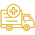 Medical Delivery Services
